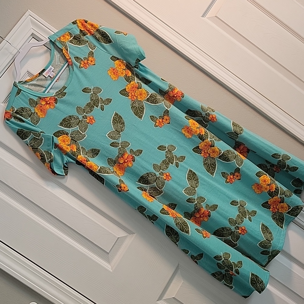 Lularoe Swing Jessie Dress, size L